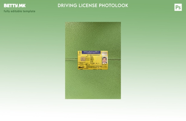 Модерен стил, шаблон за фото изглед на државната возачка дозвола во Индија Бихар